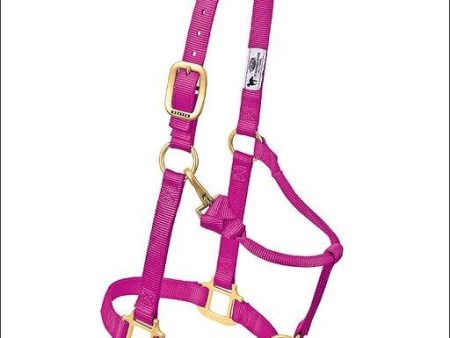 Weaver Original Adjustable Nylon Halter with Chrome Plated Hardware Hot on Sale