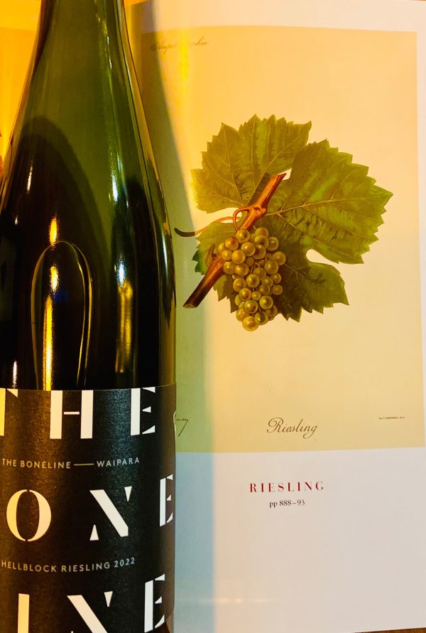 The Bone Line ‘Hellblock’ Riesling 2022 Fashion