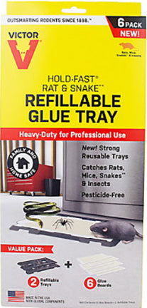 2PK RAT GLUE TRAP Online now