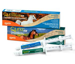 Zoetis Quest Horse Dewormer Gel For Cheap