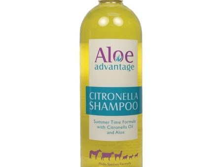 ALOE ADVANTAGE CITRONELLA SHAMPOO 16X CONC Supply