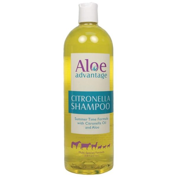 ALOE ADVANTAGE CITRONELLA SHAMPOO 16X CONC Supply