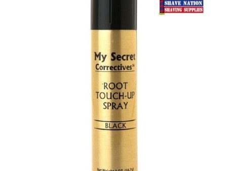 My Secret Touch-Up Spray Black Online