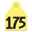 AgriLabs Large Numbered AgriTags 151-175 Yellow 1 Count by Agritags Online Hot Sale